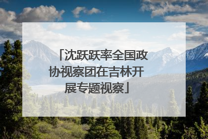 沈跃跃率全国政协视察团在吉林开展专题视察