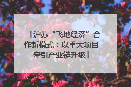 沪苏“飞地经济”合作新模式：以重大项目牵引产业链升级