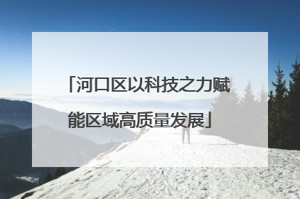 河口区以科技之力赋能区域高质量发展