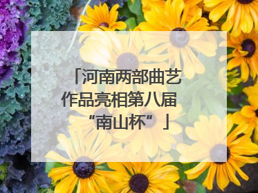 河南两部曲艺作品亮相第八届“南山杯”