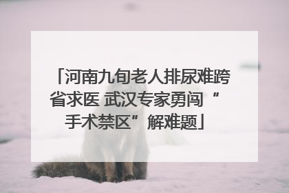 河南九旬老人排尿难跨省求医 武汉专家勇闯“手术禁区”解难题