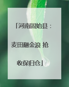 河南固始县：麦田翻金浪 抢收保归仓