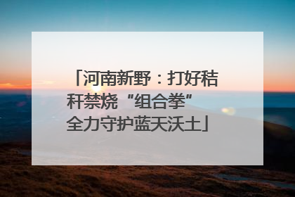 河南新野：打好秸秆禁烧“组合拳” 全力守护蓝天沃土