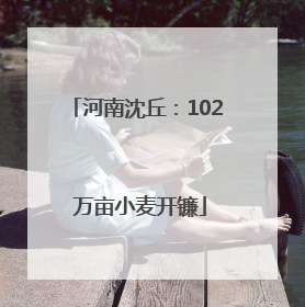河南沈丘：102 万亩小麦开镰
