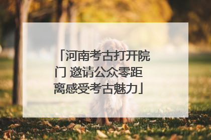 河南考古打开院门 邀请公众零距离感受考古魅力