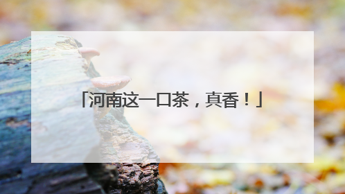 河南这一口茶，真香！