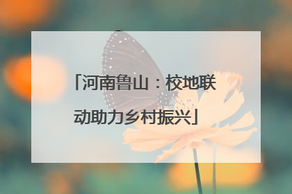 河南鲁山：校地联动助力乡村振兴
