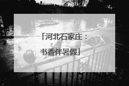 河北石家庄：书香伴暑假