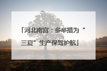 河北南宫：多举措为“三夏”生产保驾护航
