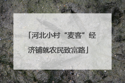 河北小村“麦客”经济铺就农民致富路