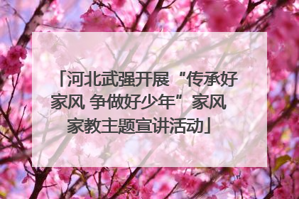 河北武强开展“传承好家风 争做好少年”家风家教主题宣讲活动