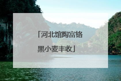 河北馆陶富铬黑小麦丰收