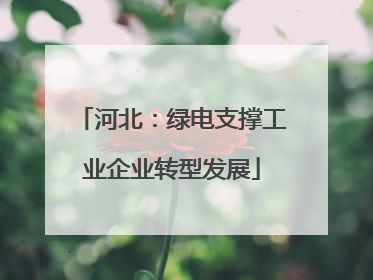 河北：绿电支撑工业企业转型发展