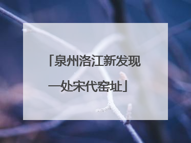 泉州洛江新发现一处宋代窑址