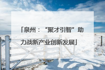 泉州：“聚才引智”助力战新产业创新发展