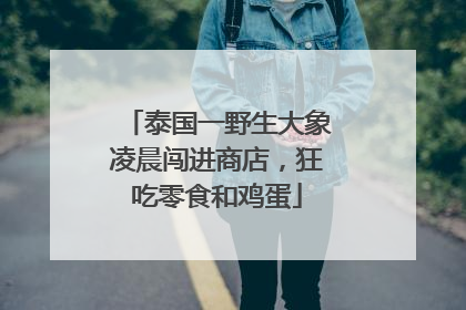泰国一野生大象凌晨闯进商店，狂吃零食和鸡蛋
