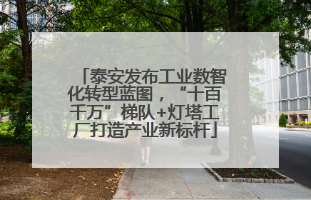 泰安发布工业数智化转型蓝图，“十百千万”梯队+灯塔工厂打造产业新标杆