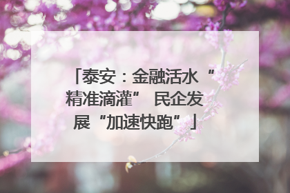 泰安：金融活水“精准滴灌” 民企发展“加速快跑”