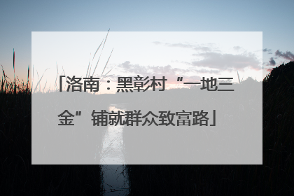 洛南：黑彰村“一地三金”铺就群众致富路