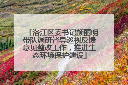 洛江区委书记颜丽明带队调研督导巡视反馈意见整改工作，推进生态环境保护建设