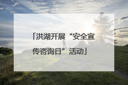 洪湖开展“安全宣传咨询日”活动