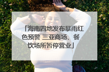 海南四地发布暴雨红色预警 三亚商场、餐饮场所暂停营业