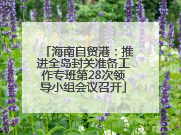 海南自贸港：推进全岛封关准备工作专班第28次领导小组会议召开