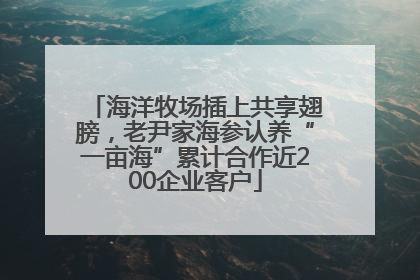 海洋牧场插上共享翅膀，老尹家海参认养“一亩海”累计合作近200企业客户