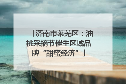 济南市莱芜区：油桃采摘节催生区域品牌“甜蜜经济”