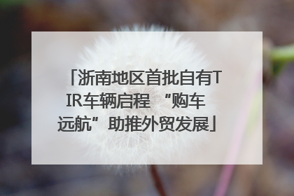 浙南地区首批自有TIR车辆启程 “购车远航”助推外贸发展