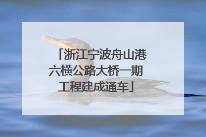 浙江宁波舟山港六横公路大桥一期工程建成通车