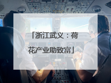 浙江武义：荷花产业助致富
