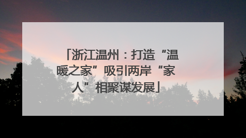浙江温州：打造“温暖之家”吸引两岸“家人”相聚谋发展