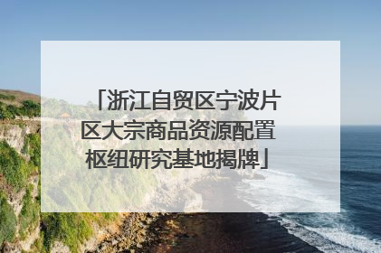 浙江自贸区宁波片区大宗商品资源配置枢纽研究基地揭牌