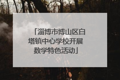 淄博市博山区白塔镇中心学校开展数学特色活动