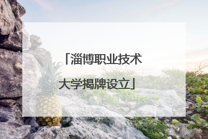 淄博职业技术大学揭牌设立
