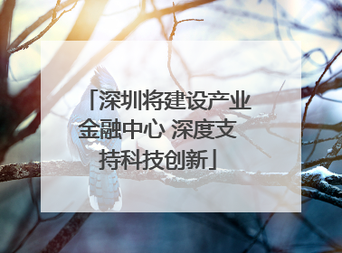 深圳将建设产业金融中心 深度支持科技创新