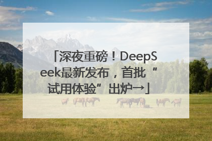 深夜重磅！DeepSeek最新发布，首批“试用体验”出炉→