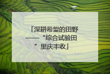 深耕希望的田野——“综合试验田”里庆丰收