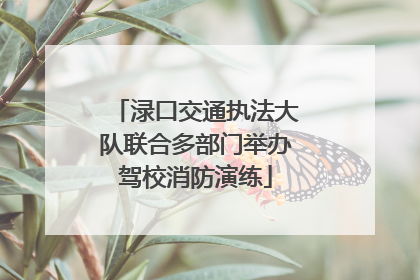 渌口交通执法大队联合多部门举办驾校消防演练