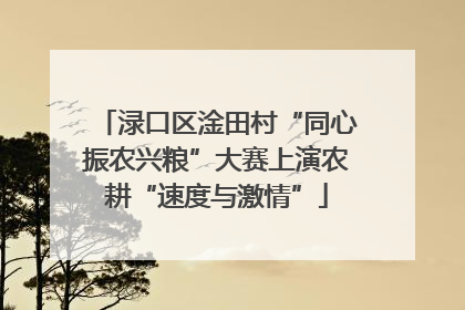 渌口区淦田村“同心振农兴粮”大赛上演农耕“速度与激情”