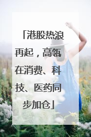 港股热浪再起，高瓴在消费、科技、医药同步加仓