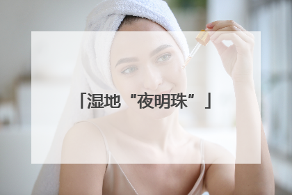 湿地“夜明珠”