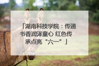 湖南科技学院：传递书香润泽童心 红色传承点亮“六一”