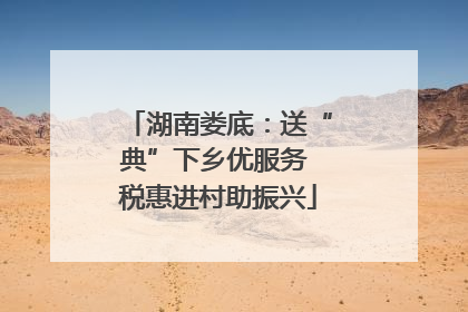 湖南娄底：送“典”下乡优服务 税惠进村助振兴