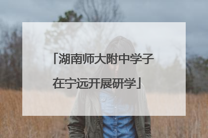 湖南师大附中学子在宁远开展研学