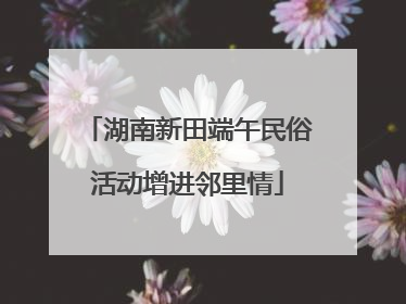 湖南新田端午民俗活动增进邻里情