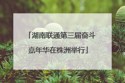 湖南联通第三届奋斗嘉年华在株洲举行