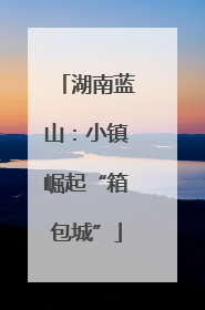 湖南蓝山：小镇崛起“箱包城”