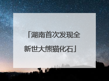 湖南首次发现全新世大熊猫化石
